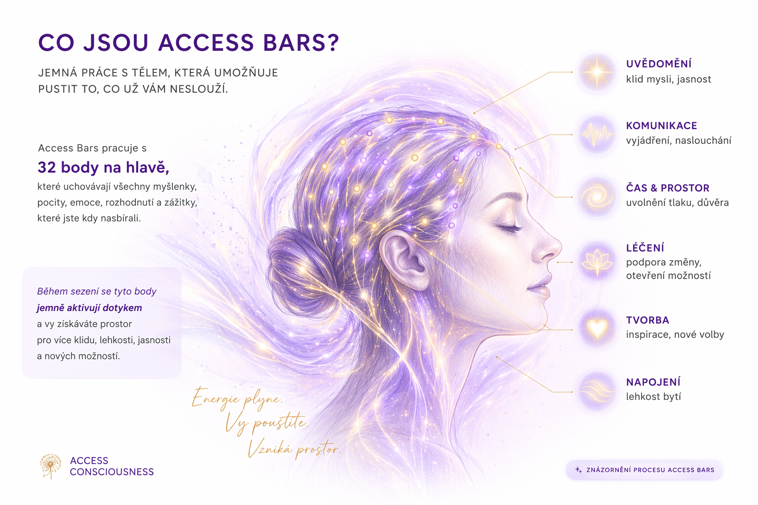 Infografika 32 bodů Access Bars na hlavě s popisem jednotlivých oblastí