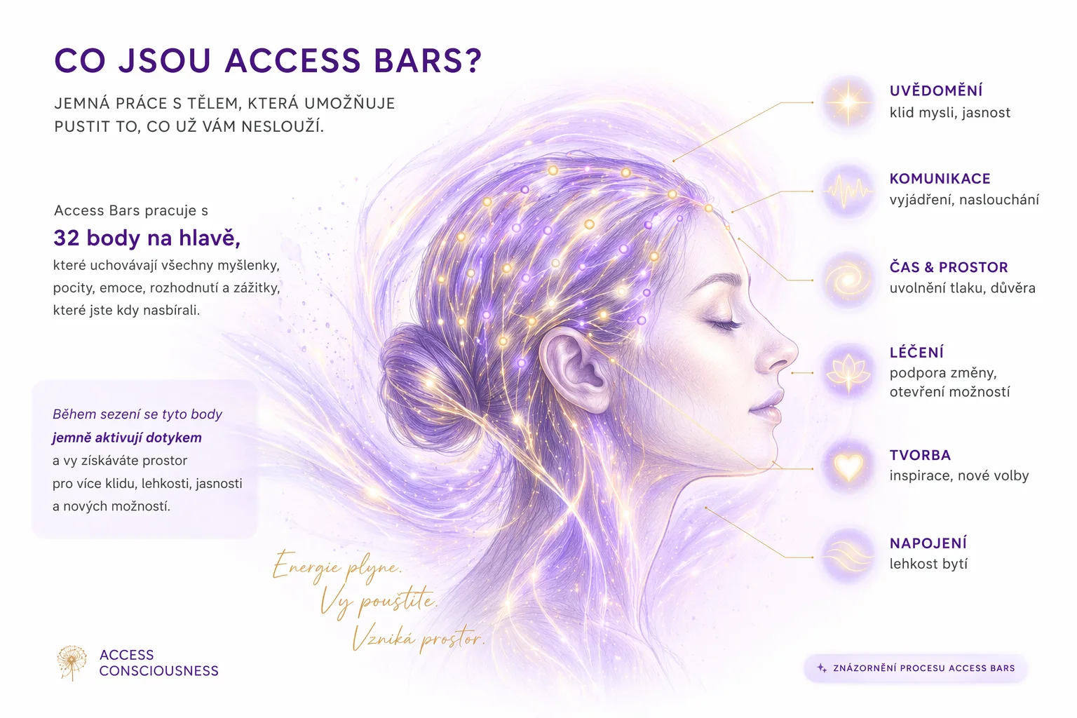 Infografika 32 bodů Access Bars na hlavě s popisem jednotlivých oblastí